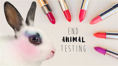 givenchy test sugli animals|It’s time for the US to end cosmetics testing on animals.